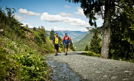 Wanderer auf einem Forstweg in Saalbach