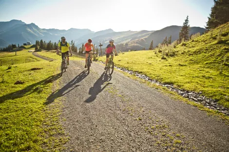 Mountainbiken im Salzburger Land