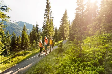 Heilkräuterweg am Reiterkogel in Hinterglemm